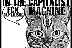 Cats-cogs