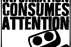 Information Consumes Attention