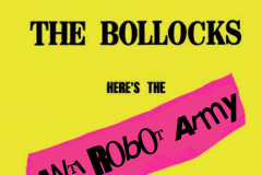 Nevermind The Bollocks